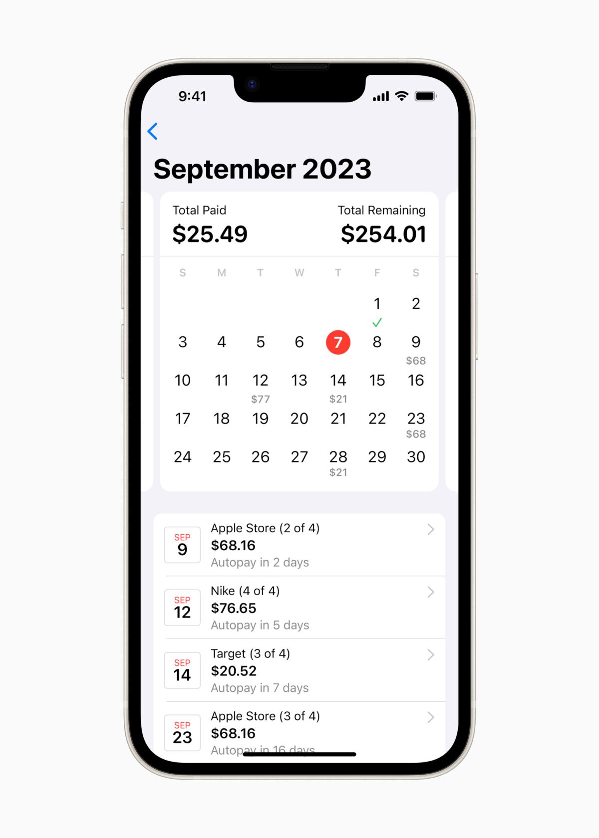 Представление календаря Apple Pay Later на iPhone