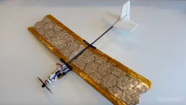 Учёные разработали съедобные дроны для спасения жизней (2 фото) »