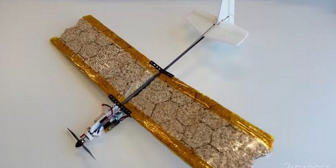 Учёные разработали съедобные дроны для спасения жизней (2 фото) »