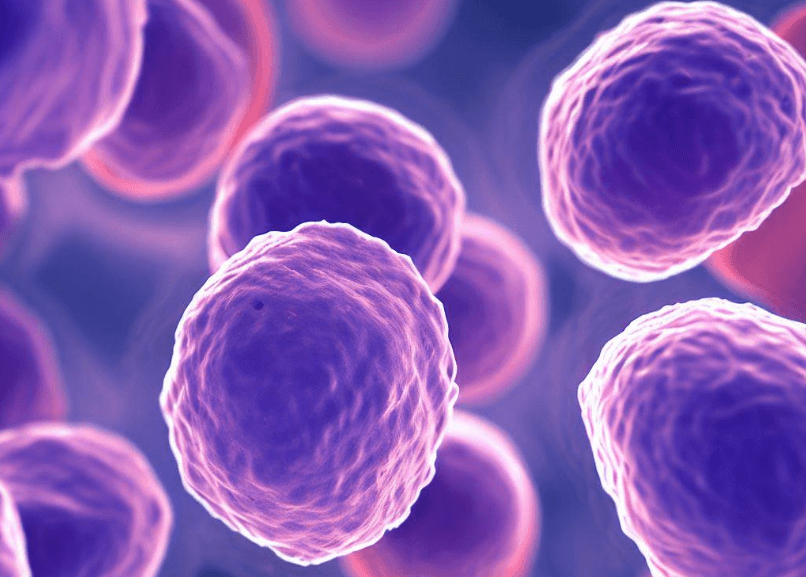Бактерии снижают эффективность лечения рака. Бактерии подавляют Т-лимфоциты, которые отвечают за уничтожение раковых клеток. Фото.
