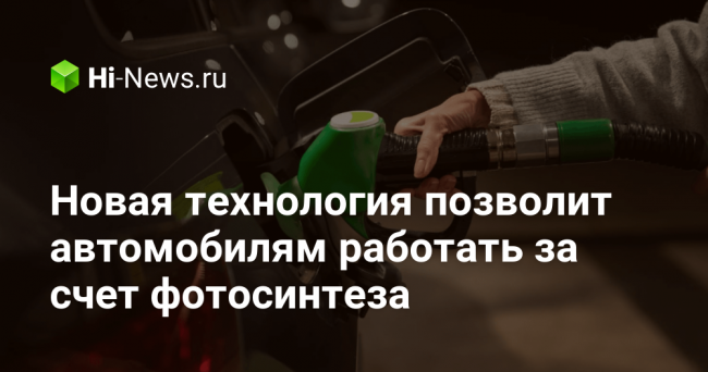 Новая технология позволит автомобилям работать за счет фотосинтеза