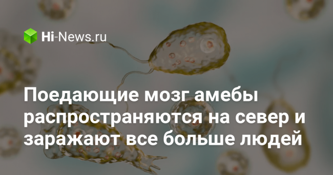 Поедающие мозг амебы распространяются на север и заражают все больше