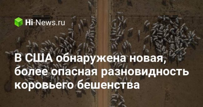 В США обнаружена новая, более опасная разновидность коровьего бешенства