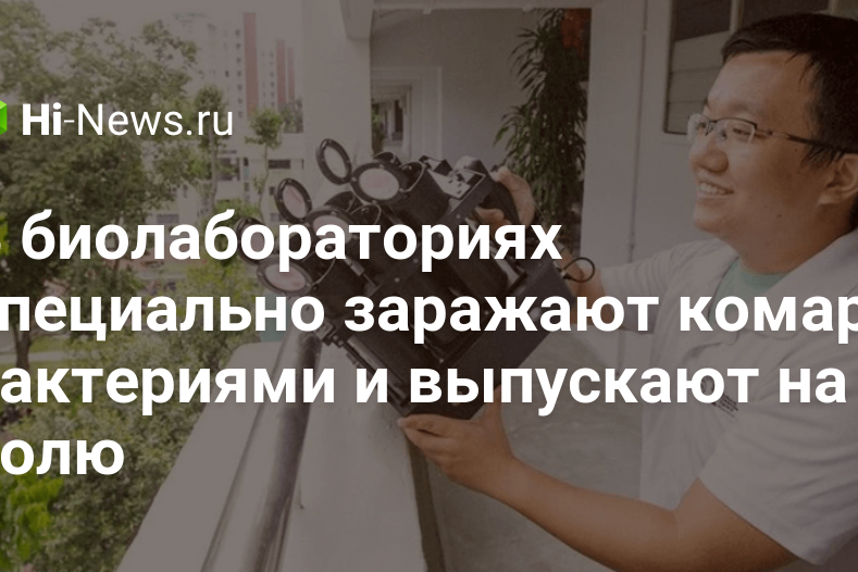 В биолабораториях специально заражают комаров бактериями и выпускают на волю