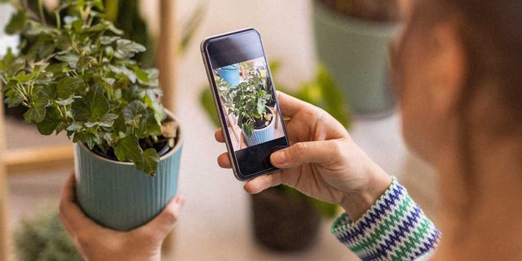 Улучшите свои навыки садоводства и ухода за растениями с Plantum