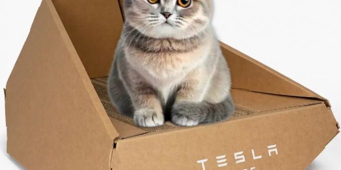 Cпециальная версия Tesla Cybertruck из картона для котиков (2 фото)