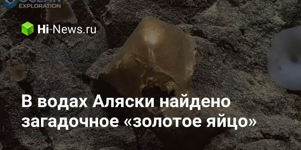 В водах Аляски найдено загадочное «золотое яйцо»