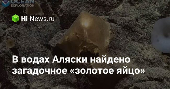 В водах Аляски найдено загадочное «золотое яйцо»