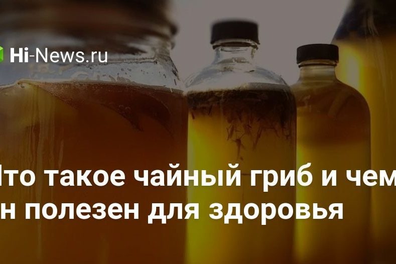 Что такое чайный гриб и чем он полезен для здоровья