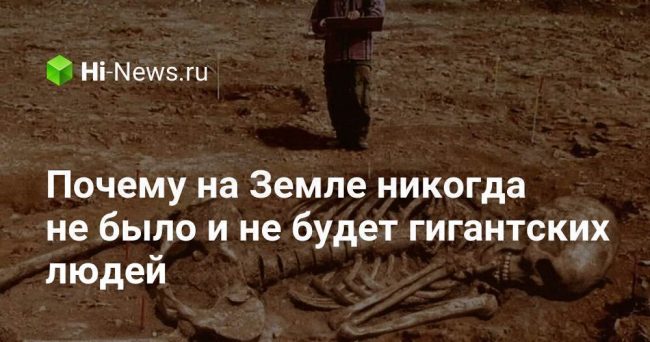 Почему на Земле никогда не было и не будет гигантских