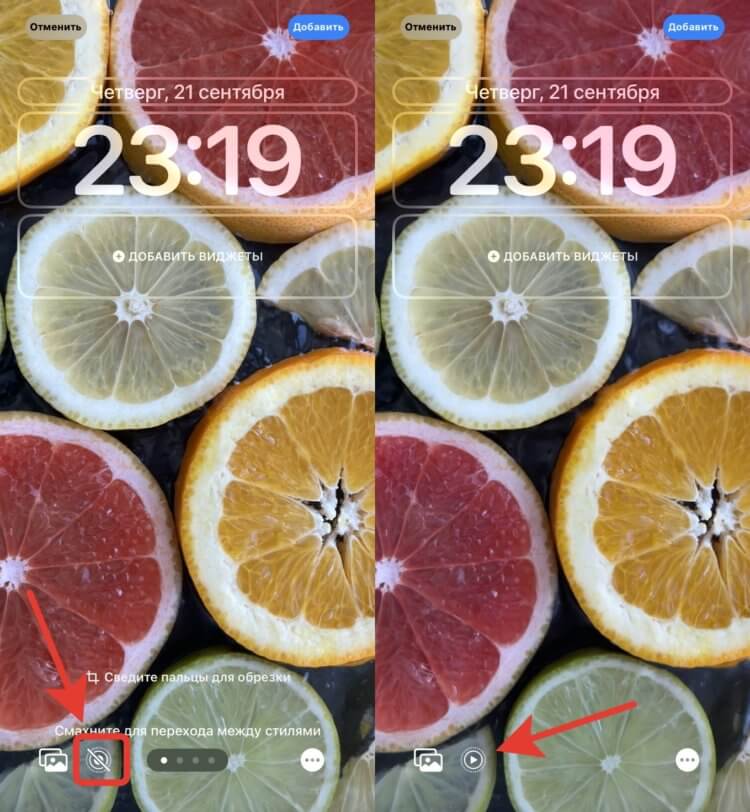 Как поставить живые обои на Айфон. Если горит значок «Play», значит обои будут двигаться после разблокировки. Фото.