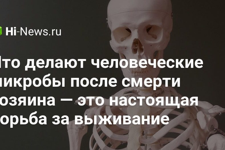 Что делают человеческие микробы после смерти хозяина — это настоящая