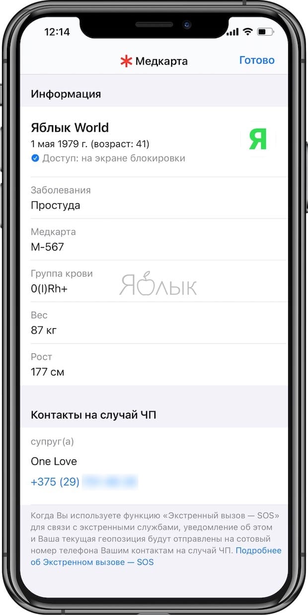 Как создать собственную медицинскую карту в iPhone?