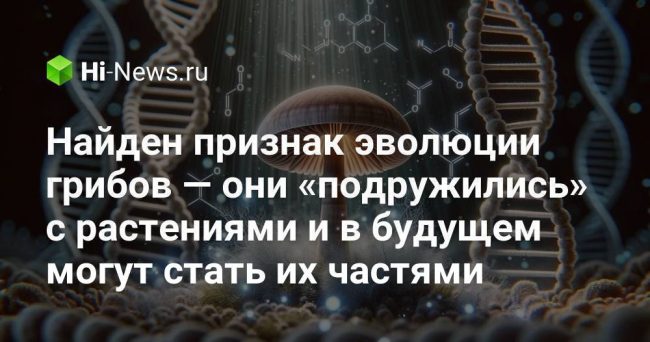 Найден признак эволюции грибов — они «подружились» с растениями и
