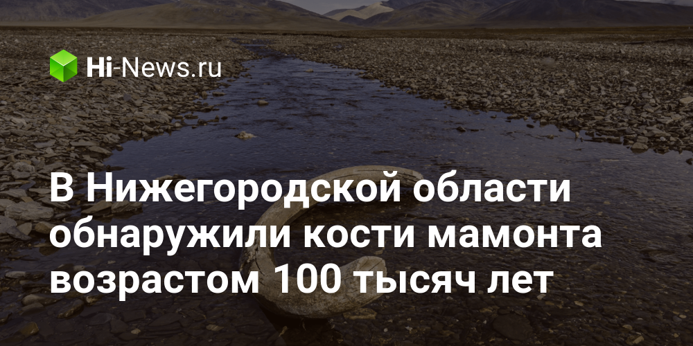 В Нижегородской области обнаружили кости мамонта возрастом 100 тысяч лет