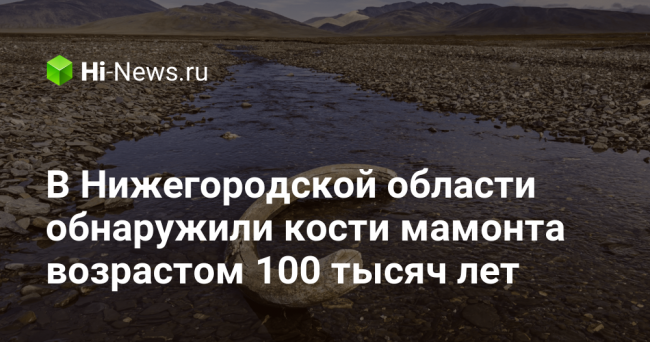 В Нижегородской области обнаружили кости мамонта возрастом 100 тысяч лет