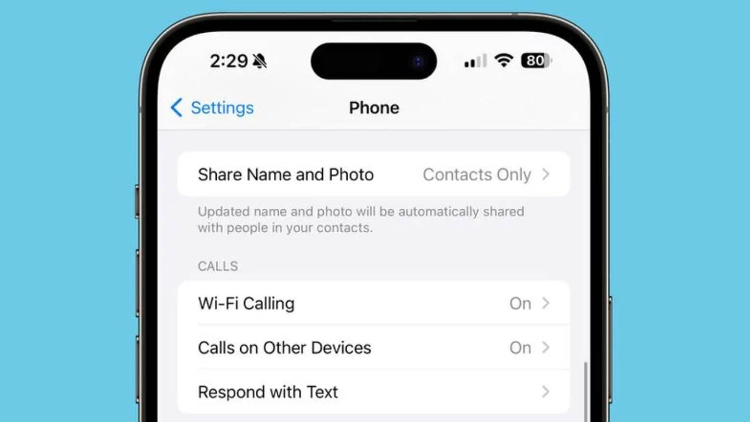 Новые функции iOS 17.2 beta 3. Выбирайте, стоит ли делиться постером своего контакта или нет. Фото.