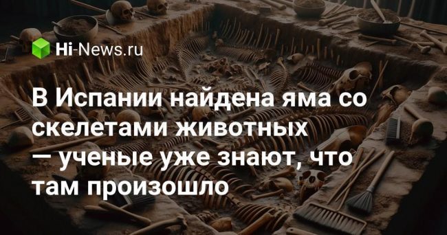 В Испании найдена яма со скелетами животных — ученые уже