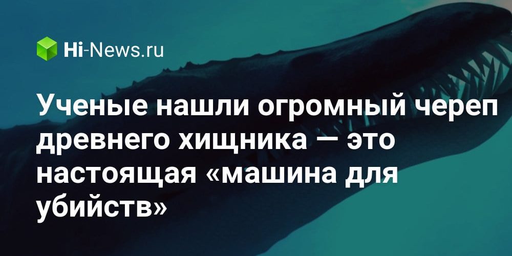 Ученые нашли огромный череп древнего хищника — это настоящая «машина