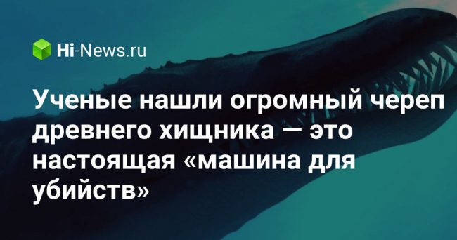 Ученые нашли огромный череп древнего хищника — это настоящая «машина