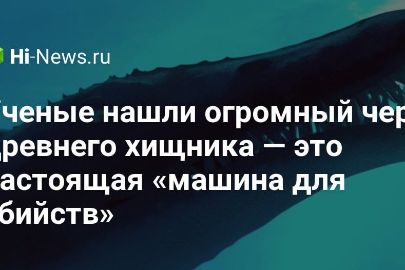 Ученые нашли огромный череп древнего хищника — это настоящая «машина