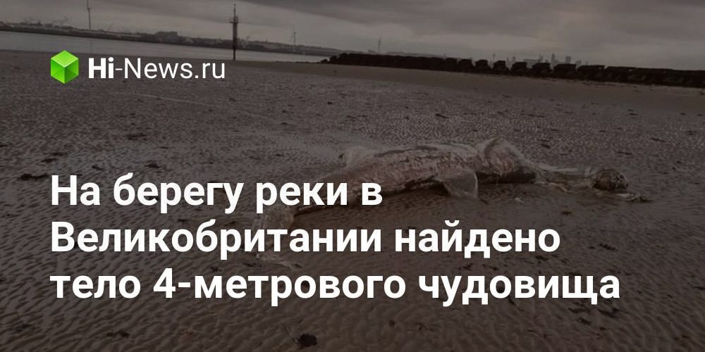На берегу Новой Зеландии найдено тело 4-метрового чудовища