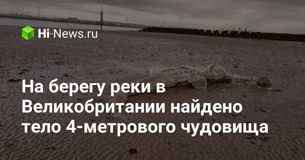 На берегу Новой Зеландии найдено тело 4-метрового чудовища
