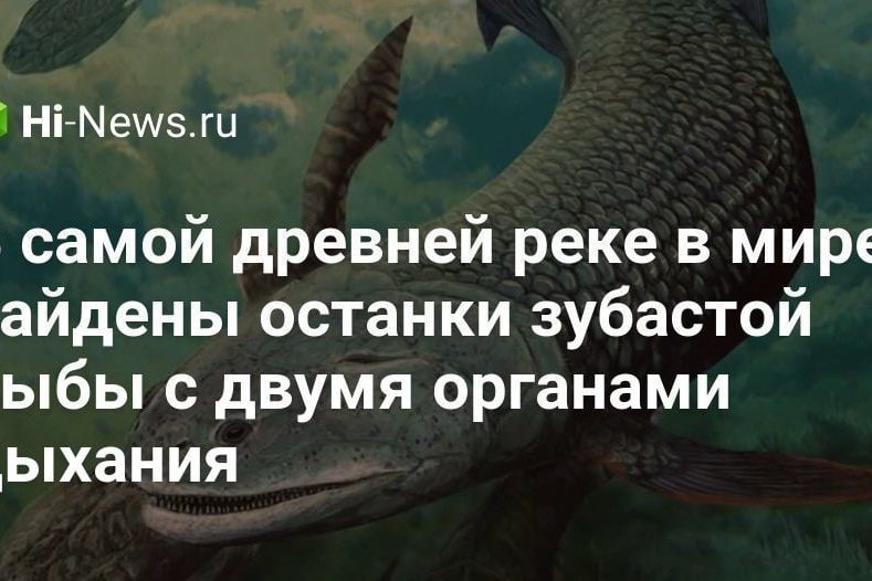 В самой древней реке в мире найдены останки зубастой рыбы