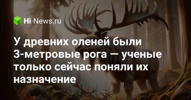 У древних оленей были 3-метровые рога — ученые только сейчас