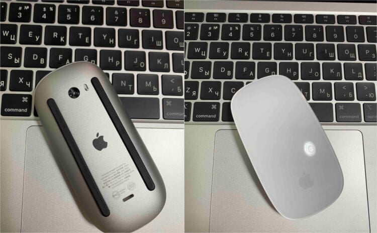 Мышка Magic Mouse от Apple. Magic Mouse — лучшая мышка для macOS. Фото.