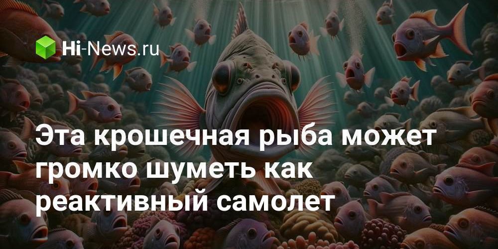 Эта крошечная рыба может громко шуметь как реактивный самолет