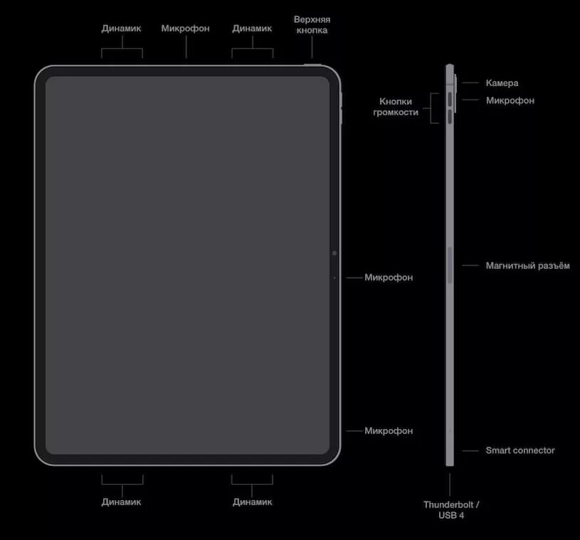 Кнопки и интерфейсы iPad Pro (M4) 2024 года