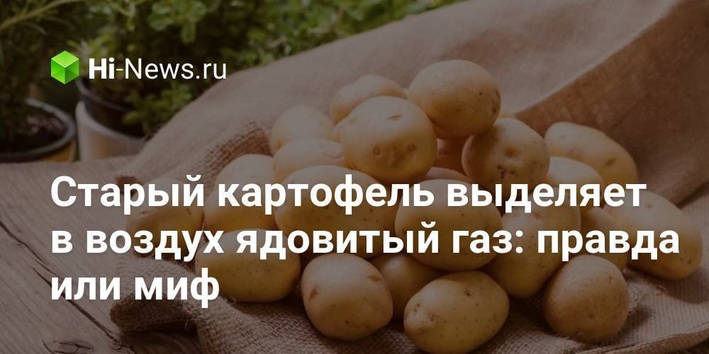 Старый картофель выделяет в воздух ядовитый газ: правда или миф
