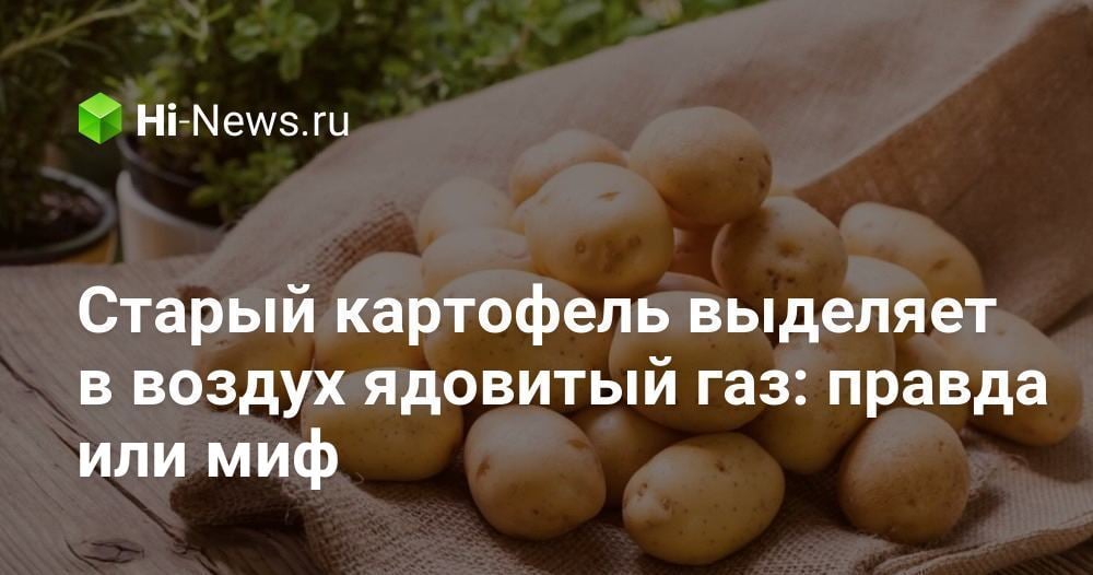 Старый картофель выделяет в воздух ядовитый газ: правда или миф