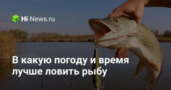 В какую погоду и время лучше ловить рыбу
