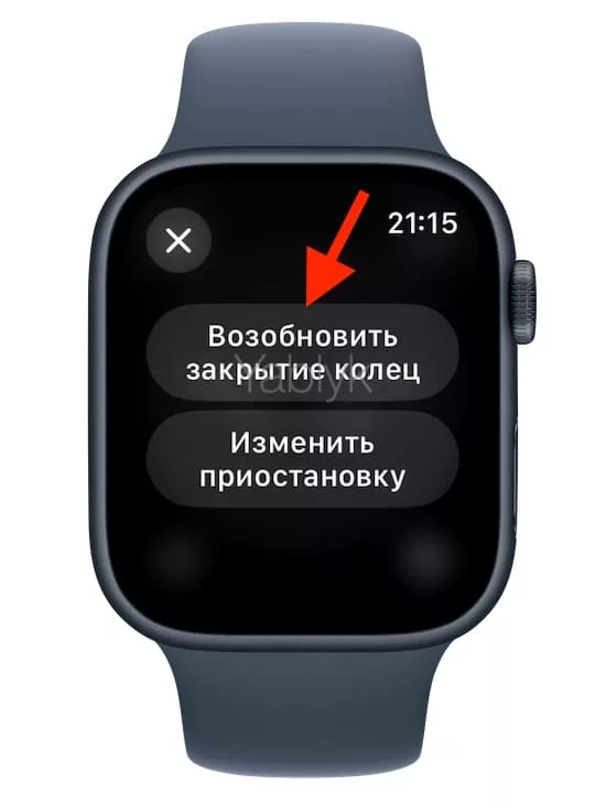 Как приостановить кольца активности на Apple Watch и для чего это делать?