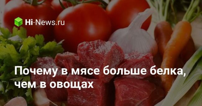 Почему в мясе больше белка, чем в овощах