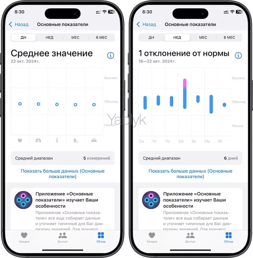 Обзор приложения «Основные показатели» (Vitals) для Apple Watch