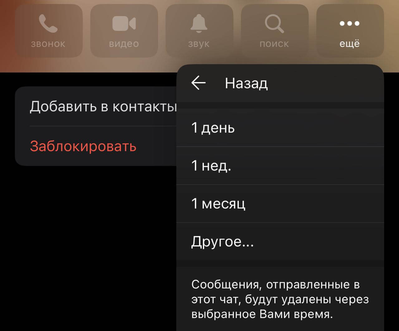 Автоудаление сообщений в Телеграм. Включите автоудаление сообщений, чтобы не стирать их вручную. Фото.