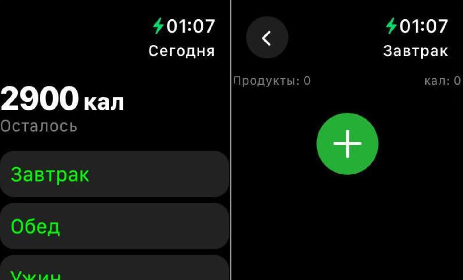 Счетчик калорий для Apple Watch. В это приложение можете вносить все, что съели за день. Фото.