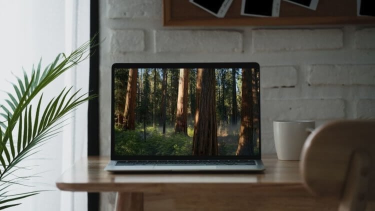 Приложение на весь экран. Не забудьте настроить macOS Sequoia, чтобы было комфортно пользоваться новой системой. Изображение: techradar.com. Фото.