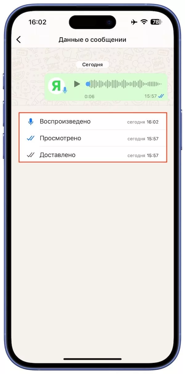 Как узнать, в какое время было просмотрено сообщение в WhatsApp?