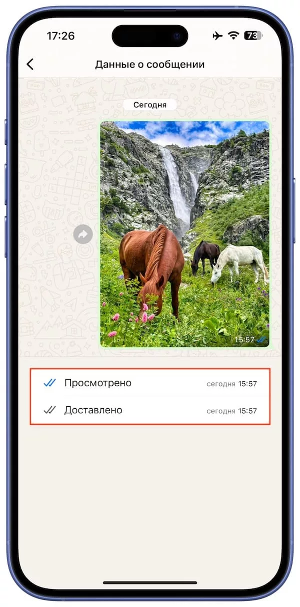Как узнать, в какое время было просмотрено сообщение в WhatsApp?
