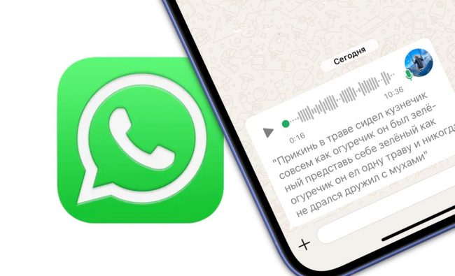 Расшифровка голосовых сообщений в текст в Ватсап: как включить на