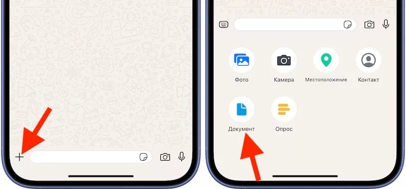 Как сканировать документы в Ватсап на iPhone?