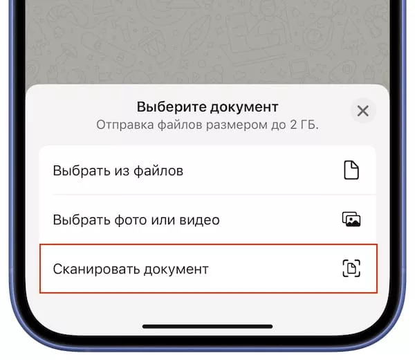 Как сканировать документы в Ватсап на iPhone?