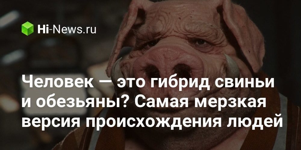 Человек — это гибрид свиньи и обезьяны? Самая мерзкая версия