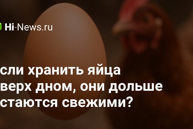 Если хранить яйца вверх дном, они дольше остаются свежими?