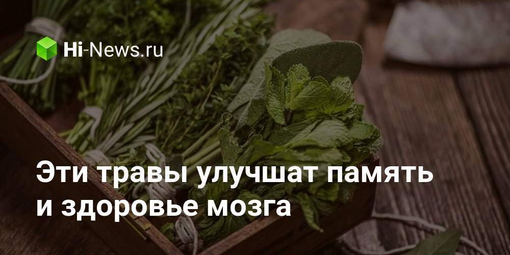 Эти травы улучшат память и здоровье мозга