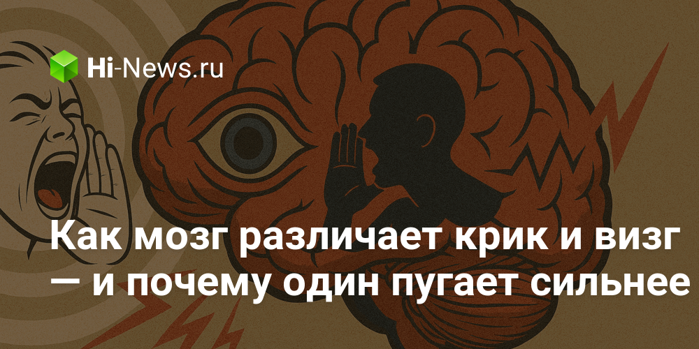 Как мозг различает крик и визг — и почему один
